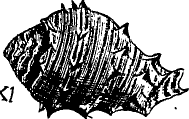064/064340010102000_0.png
