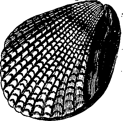 064/064340010102000_1.png