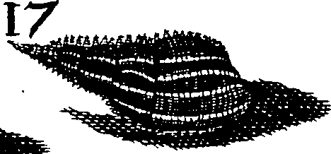 064/064340010102010_0.png
