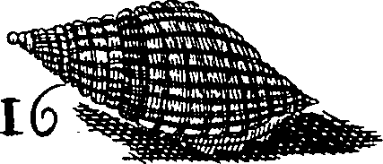 064/064340010102010_1.png