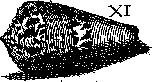 064/064340010102010_2.png
