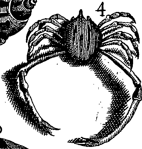 064/064340010102010_3.png