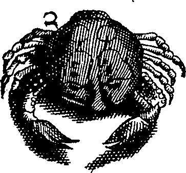 064/064340010102010_5.png