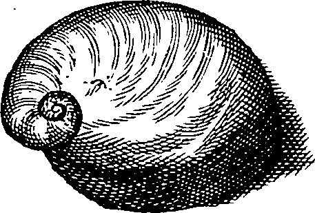 064/064340010102020_0.png