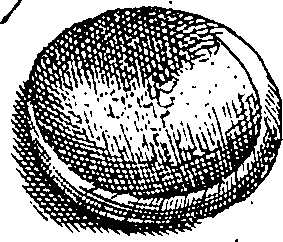 064/064340010102020_1.png