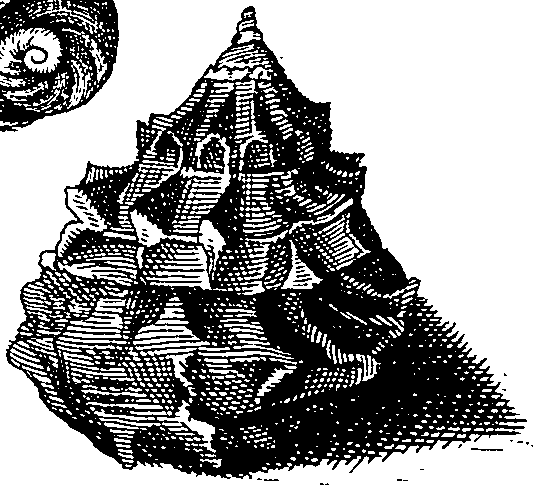 064/064340010102020_2.png