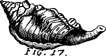 064/064340010102030_0.png