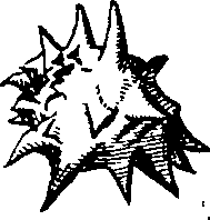064/064340010102030_3.png