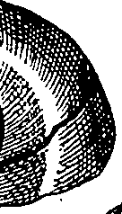 064/064340010102030_5.png