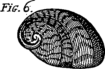 064/064340010102030_6.png