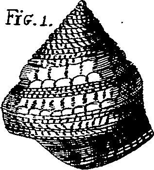 064/064340010102030_7.png