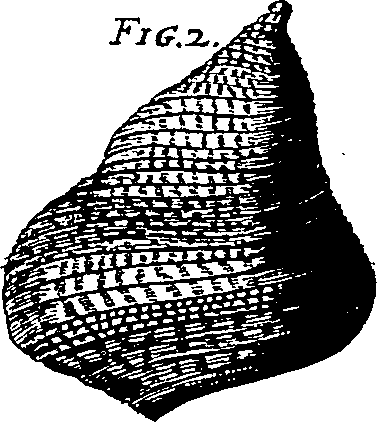 064/064340010102030_8.png