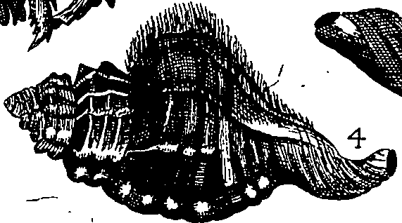 064/064340010102040_1.png