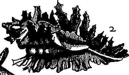 064/064340010102040_2.png