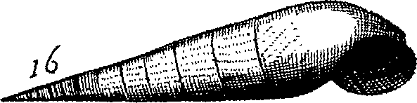 064/064340010102050_0.png