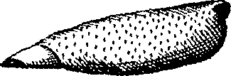 064/064340010102050_2.png