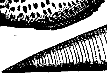 064/064340010102050_3.png