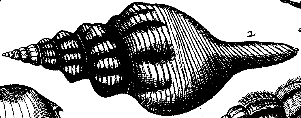 064/064340010102050_4.png