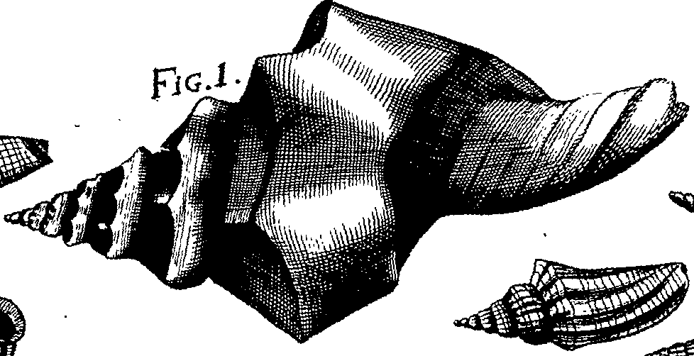 064/064340010102050_5.png