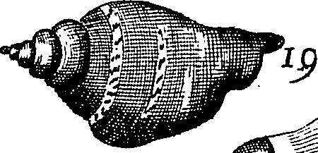 064/064340010102060_2.png
