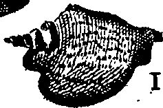 064/064340010102060_3.png