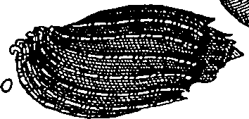 064/064340010102070_1.png