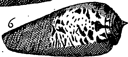 064/064340010102070_2.png