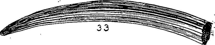 064/064340010102080_0.png