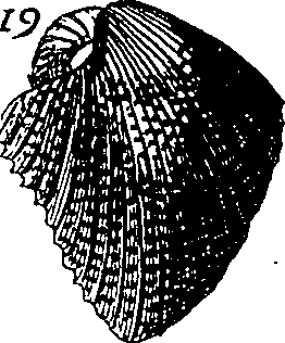 064/064340010102110_0.png