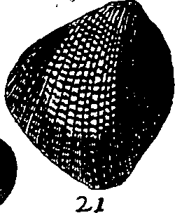 064/064340010102110_1.png