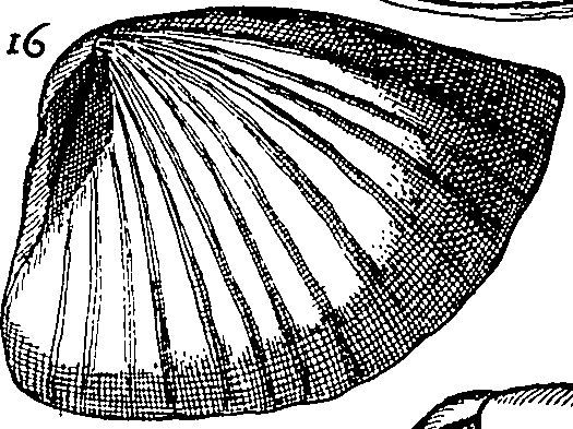 064/064340010102110_2.png