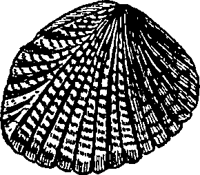 064/064340010102110_3.png