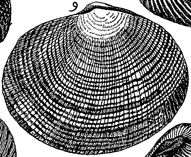 064/064340010102110_4.png