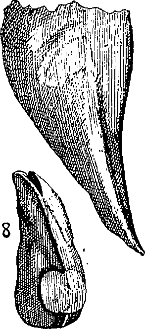 064/064340010102120_1.png