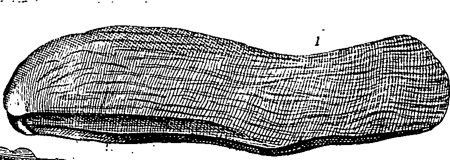 064/064340010102120_2.png