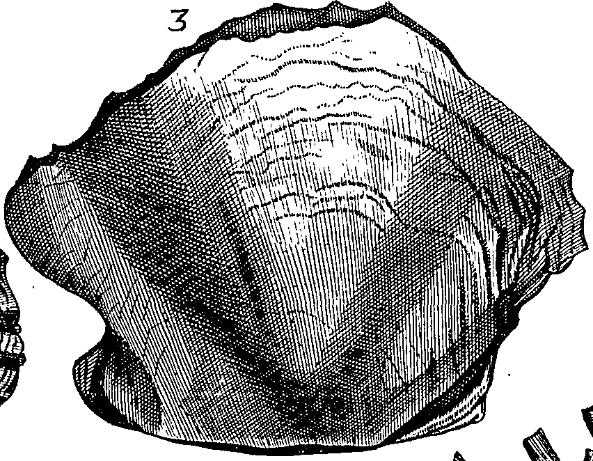 064/064340010102130_1.png