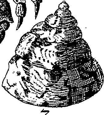 064/064340010102140_2.png