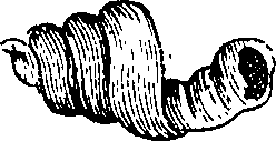 064/064340010102150_0.png