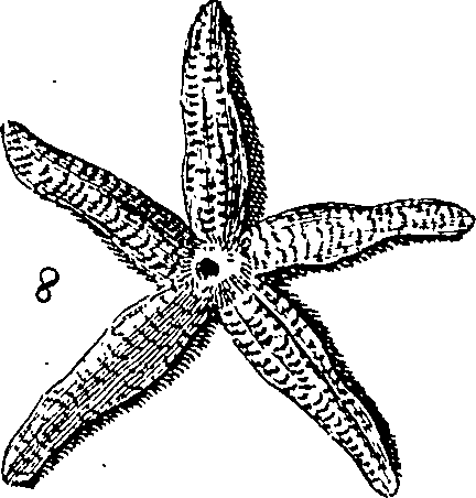 064/064340010102150_1.png