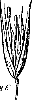 064/064340010102180_0.png