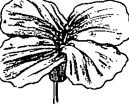 064/064340010102180_2.png