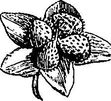064/064340010102180_3.png