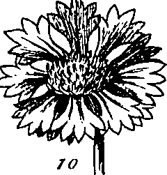 064/064340010102180_4.png