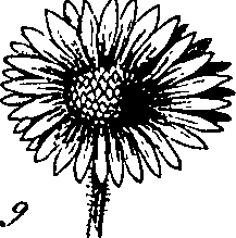 064/064340010102180_5.png
