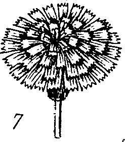 064/064340010102180_6.png
