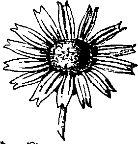 064/064340010102180_7.png