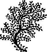 064/064340010102180_8.png