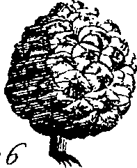 064/064340010102190_0.png