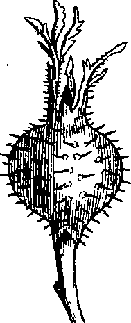 064/064340010102190_1.png