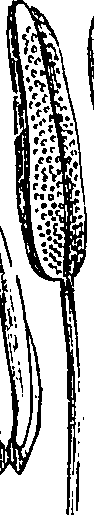 064/064340010102190_4.png